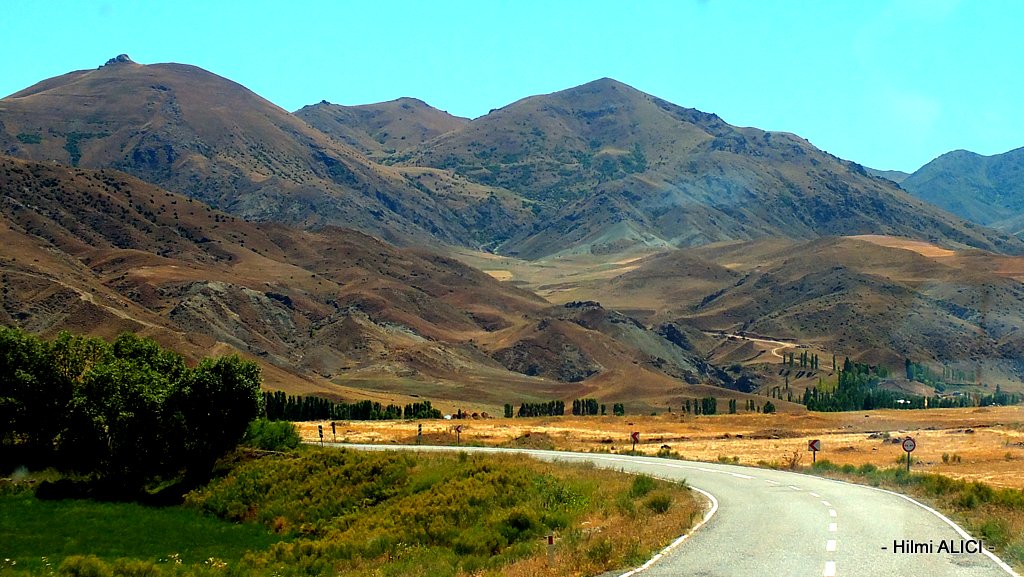 Eğer yeniden başlayabilseydim hayata