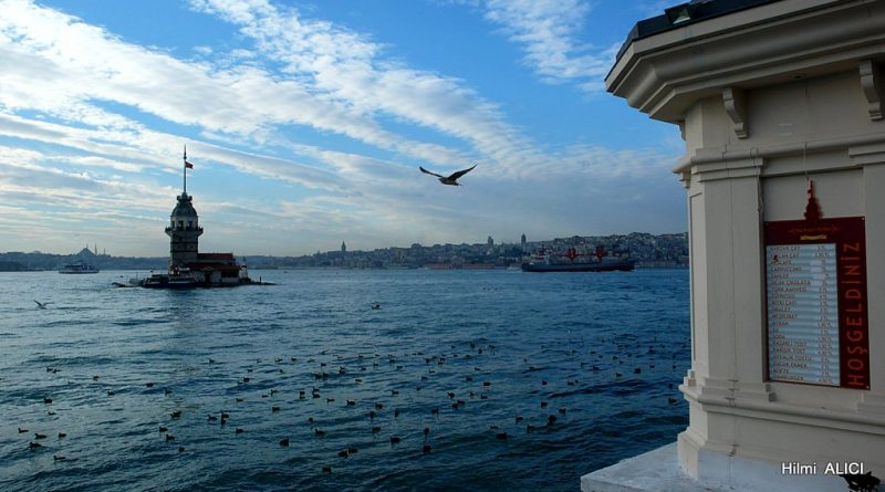 Belki - Ümit Yaşar Oğuzcan
