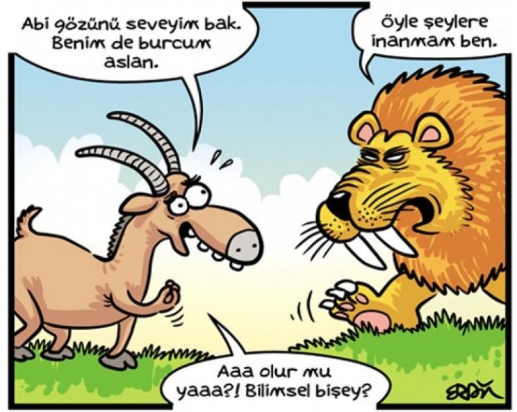 BURÇLARIN ENLERİ, UYUMUİ SIRALAMASI