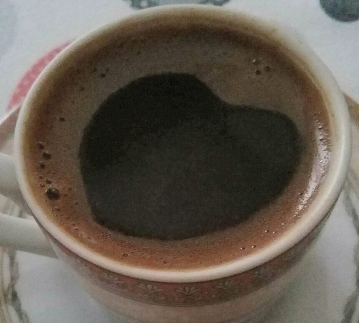 YAZARLAR EVİM SEMİZ BANU UZUN HÜLYA SALT MERAL KOŞAR HİLMİ ALICI NİLÜFER YILMAZ
